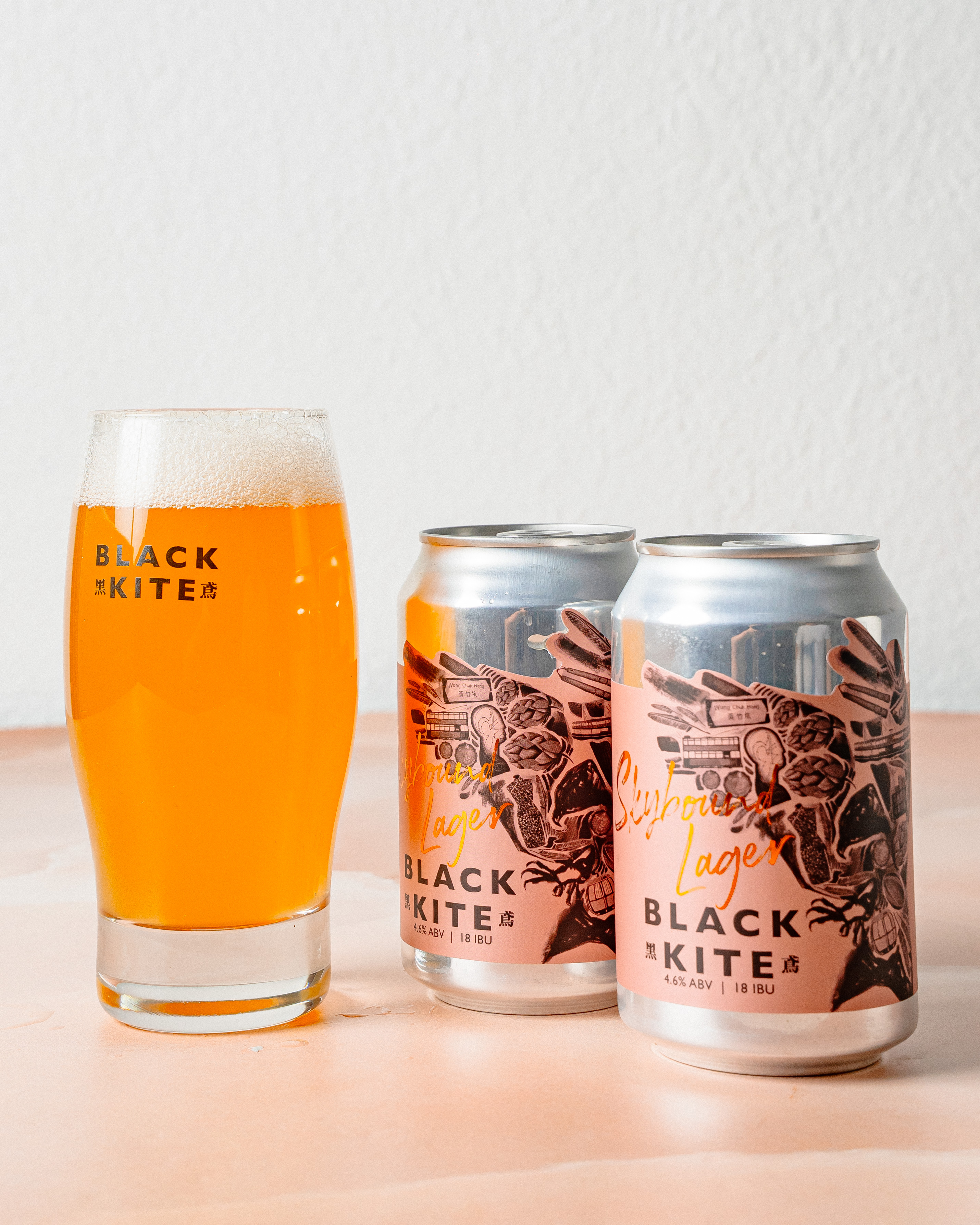 Skybound Lager - Image 2